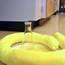 Hazmat Standard Vehicle Spill Kit - 3